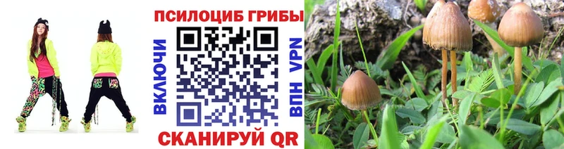 нарко площадка состав  Рошаль  Псилоцибиновые грибы Magic Shrooms  купить  сайты 