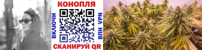 Шишки марихуана марихуана  закладки  Рошаль 